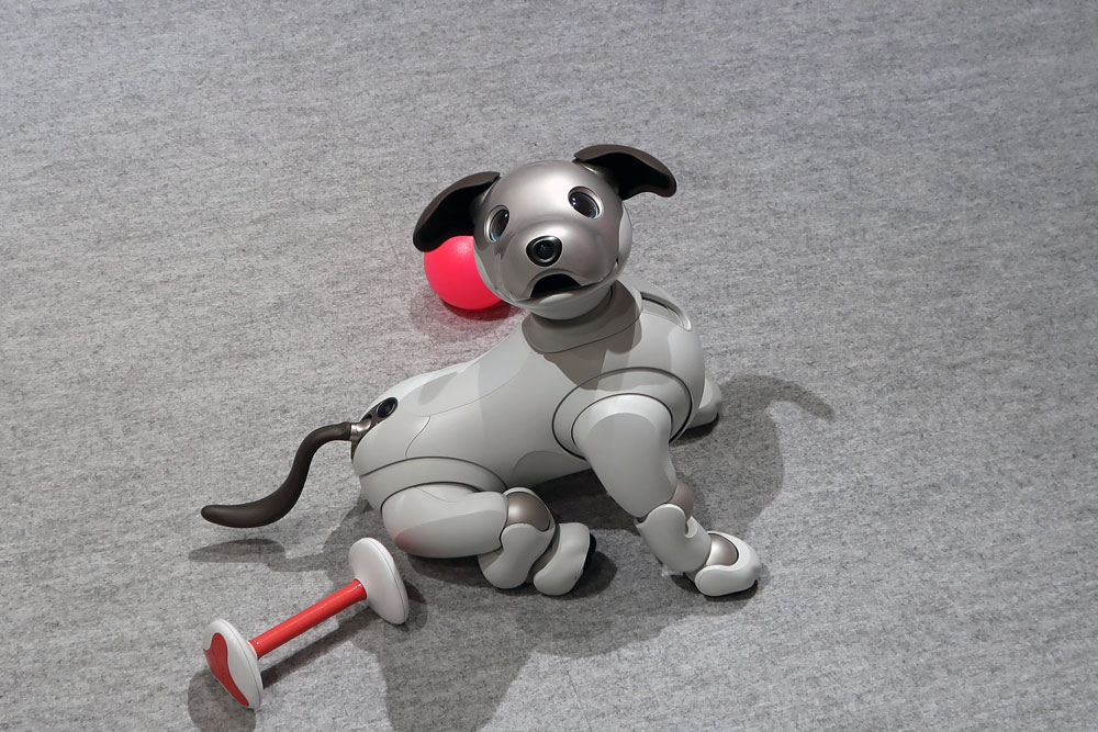 cover_news113.jpg cover_news113.jpg