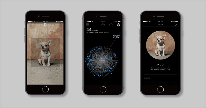 スマホをかざすと生き物の名前が分かる Linne Lens 犬種の判別も可能に Itmedia News
