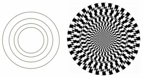 丸いのに歪んで見える不思議な円 あなたの脳もだまされる コンピュータで 錯視 の謎に迫る 1 2 ページ Itmedia News