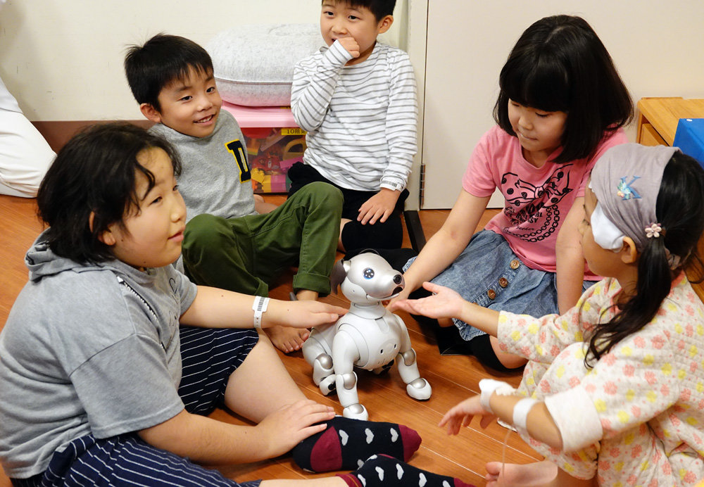 入院は痛いことばかり 頑張れって言わないで Aiboは 子どもの心 癒やせるか 初の検証へ Itmedia News
