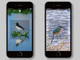 AIが生き物判別する「LINNE LENS」アプリ、野鳥に対応
