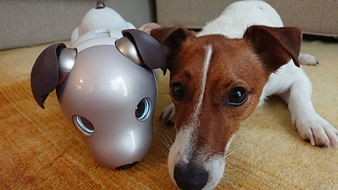 動物 ロボット 販売 ペット