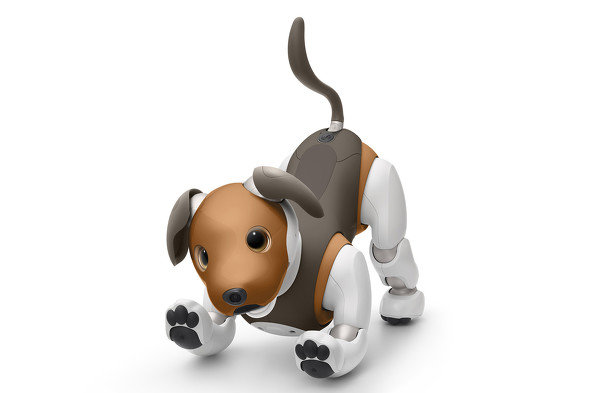 犬型ロボット Aibo に新色 ビーグル犬をイメージした19年限定 チョコレート色 1 2 Itmedia News