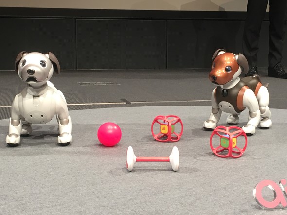 犬型ロボット Aibo に新色 ビーグル犬をイメージした19年限定 チョコレート色 2 2 ページ Itmedia News