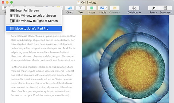 macOS Catalina、「Sidecar」の必要条件が明らかに あなたのiPadは使える？ - ITmedia NEWS