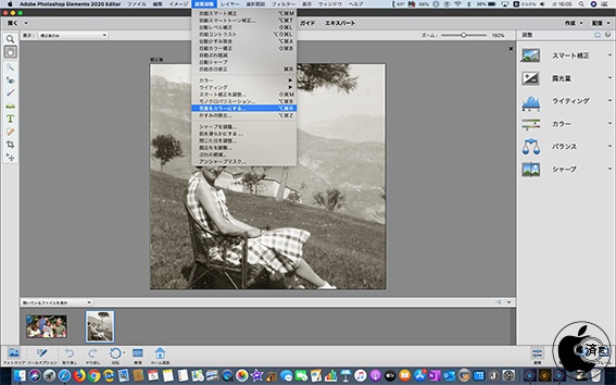 Photoshopで白黒写真の自動着色が可能に Adobe Elements を試す 2 3 ページ Itmedia News