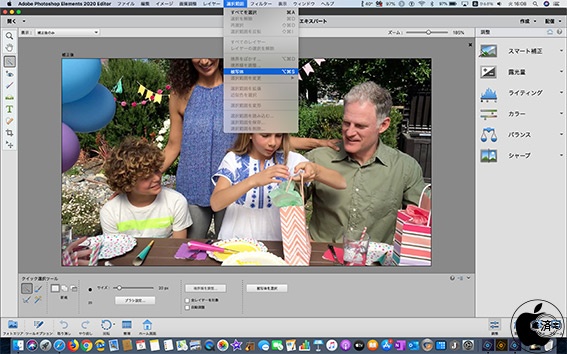 Photoshopで白黒写真の自動着色が可能に Adobe Elements を試す 2 3 ページ Itmedia News