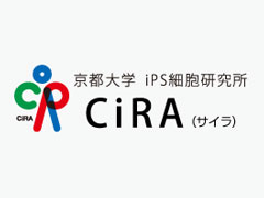 京大iPS研が出荷したiPS細胞、分化の際に遺伝子異常見つかる