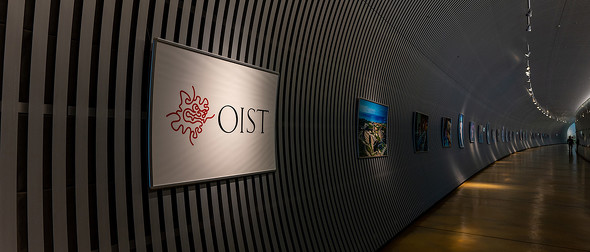 創立8年で 東大超え のワケ 世界中から人材が集まる沖縄 Oistのユニークな研究環境 1 2 Itmedia News