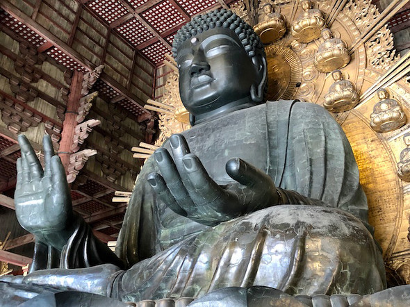 奈良の大仏 をリモート参拝 ニコ生で5月末まで中継 Itmedia News