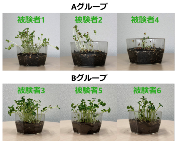 タスクの進捗に応じて成長する 植物ディスプレイ やる気向上にも 阪大と東北大 Plant 開発 Innovative Tech Itmedia News