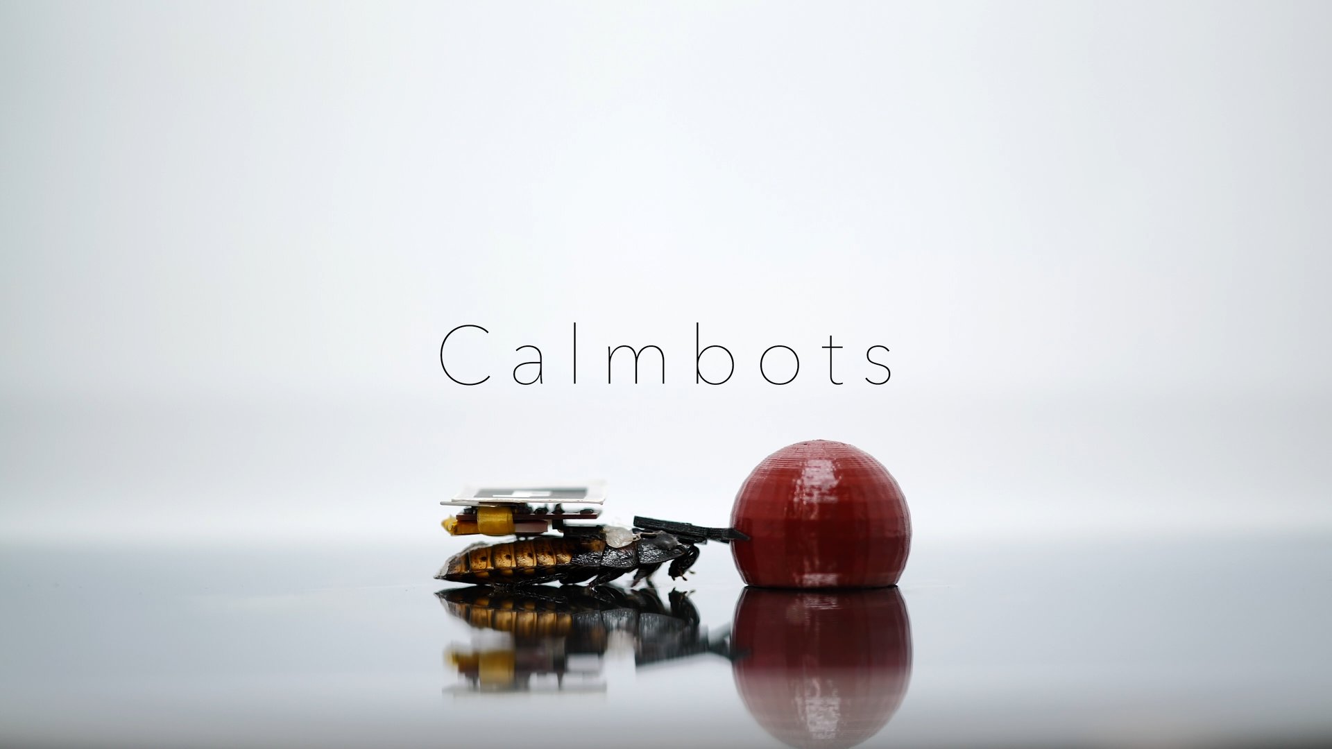 ゴキブリが絵を描き、モノを運ぶ　群れを遠隔操作する技術「Calmbots」　筑波大学が開発