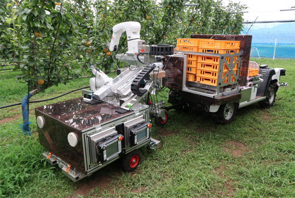 人と同じ速さでリンゴを収穫するロボット　果実1個につき11秒で　デンソーなど開発