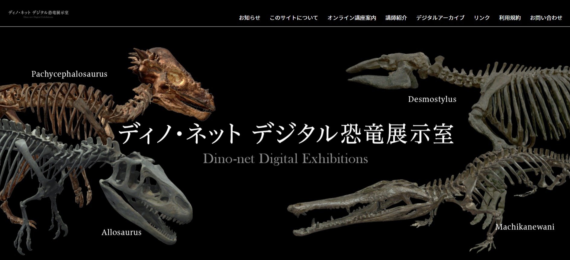 あの恐竜骨格を360度見回せる 科博のティラノサウルスなど9体のvrモデル公開 Itmedia News