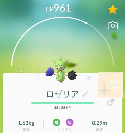 紫 ポケモン 色違い