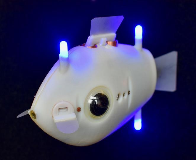 隣を見て協調動作する魚ロボット群　ハーバード大「Bluebot」開発