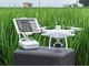 DJI JAPANと日本農薬が提携　ドローンとAIで空から雑草を特定