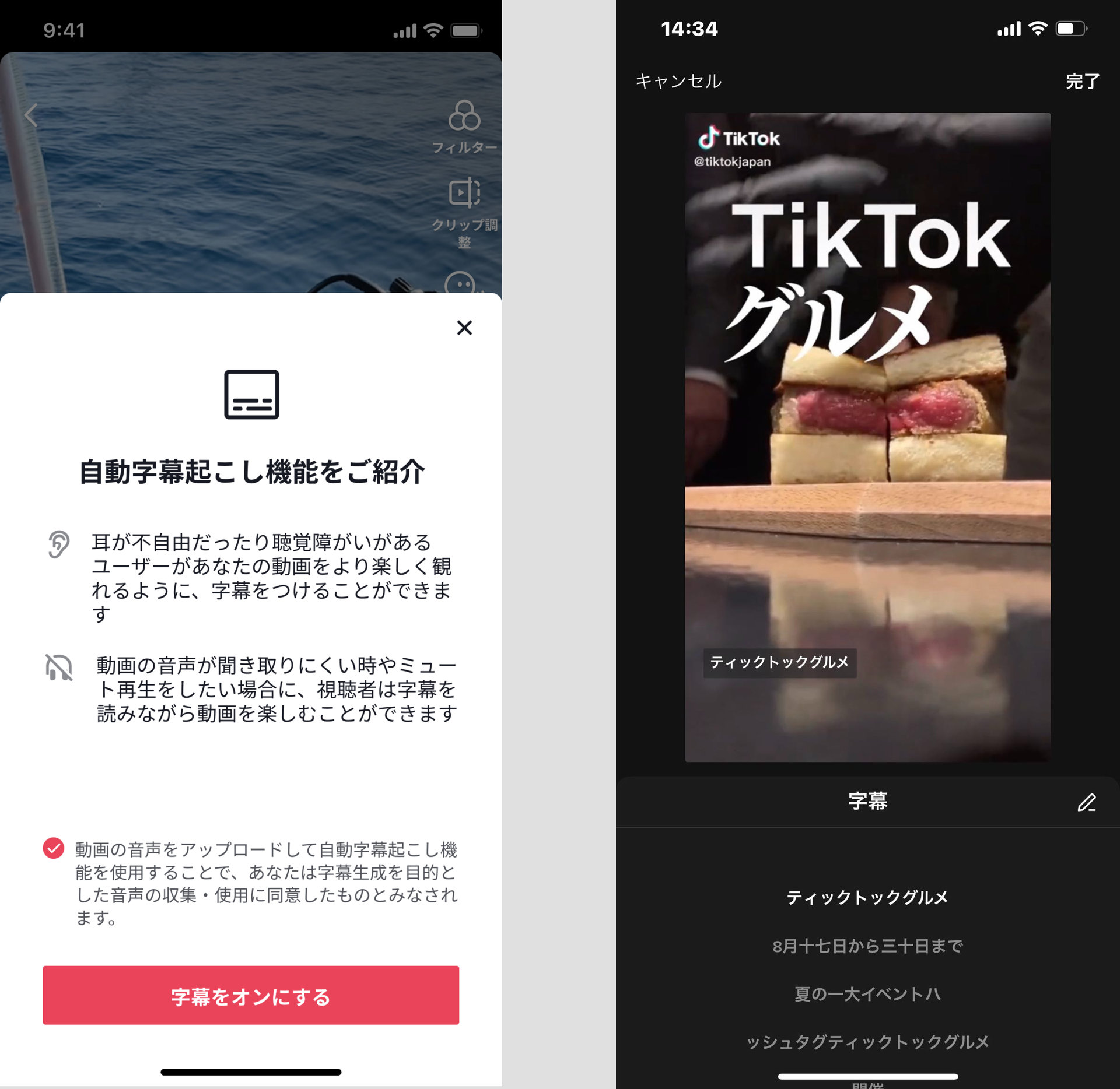 生年 日 tiktok 月