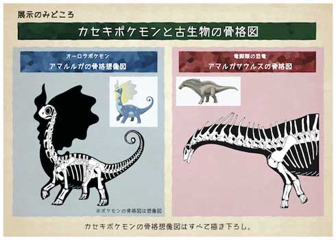 ポケモン化石博物館 全国を巡回 ポケモンの実物大骨格イメージ模型など展示 Itmedia News