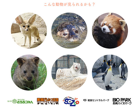 かわいい動物たちをweb会議に招待できる Zoom 森永乳業が無償提供 動物園支援で Itmedia News