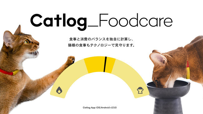 定価1.5万円】catlog board 愛猫の体調管理