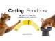 愛猫の消費カロリー自動算出　IoT首輪「Catlog」新機能　”パーソニャルな食事量”の参考に