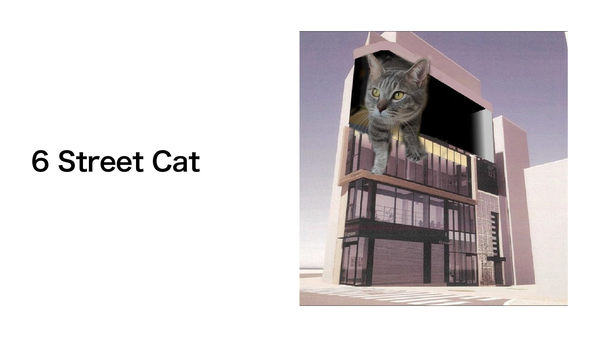 新宿の巨大猫 映像が猫に決まった理由は 企画会社が資料公開 ディレクターがこっそり忍ばせた案 Itmedia News