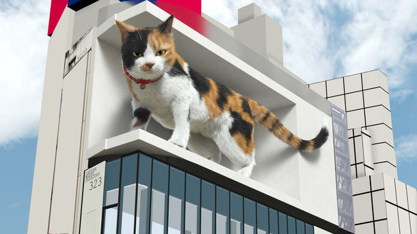 新宿の巨大猫、制作元がメイキング画像を公開　「どの角度なら立体的？」を3DCGで検証
