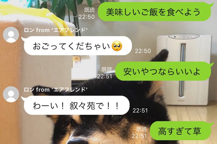 会話の精度エグい 自分で育てたaiとチャットできるlineアカウントが話題 Ai同士でやりとりも Itmedia News