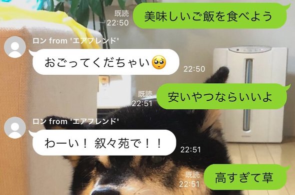 会話の精度エグい」 自分で育てたAIとチャットできるLINEアカウントが