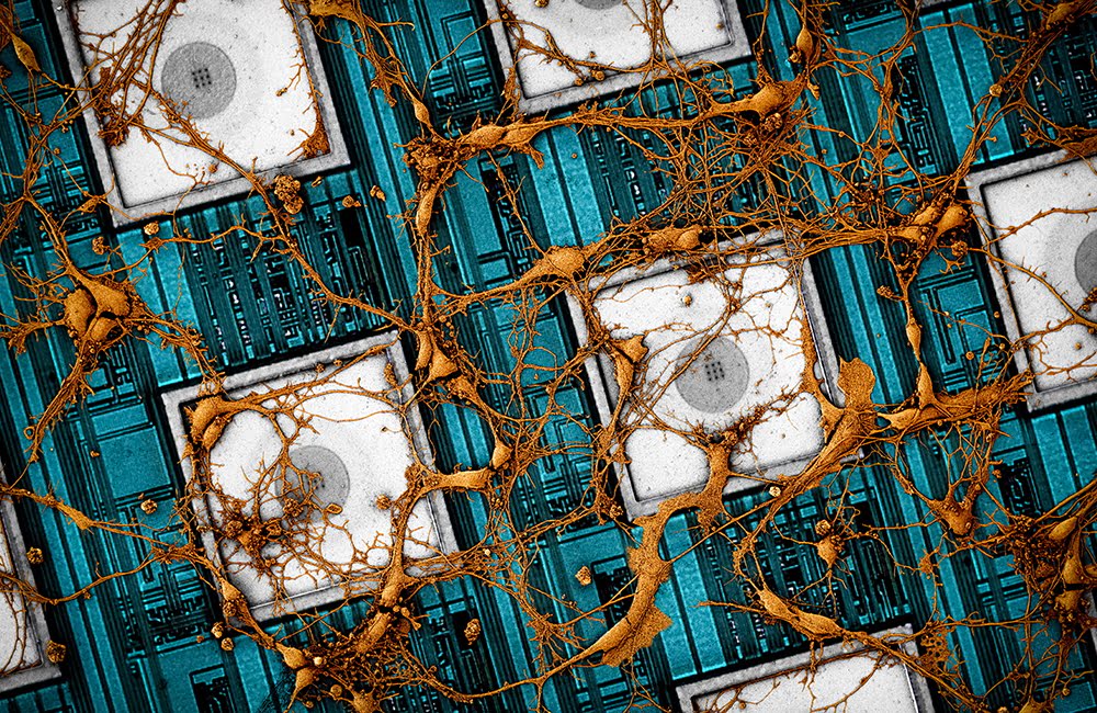 Samsung、人の脳を半導体チップに“コピペ”する研究を発表