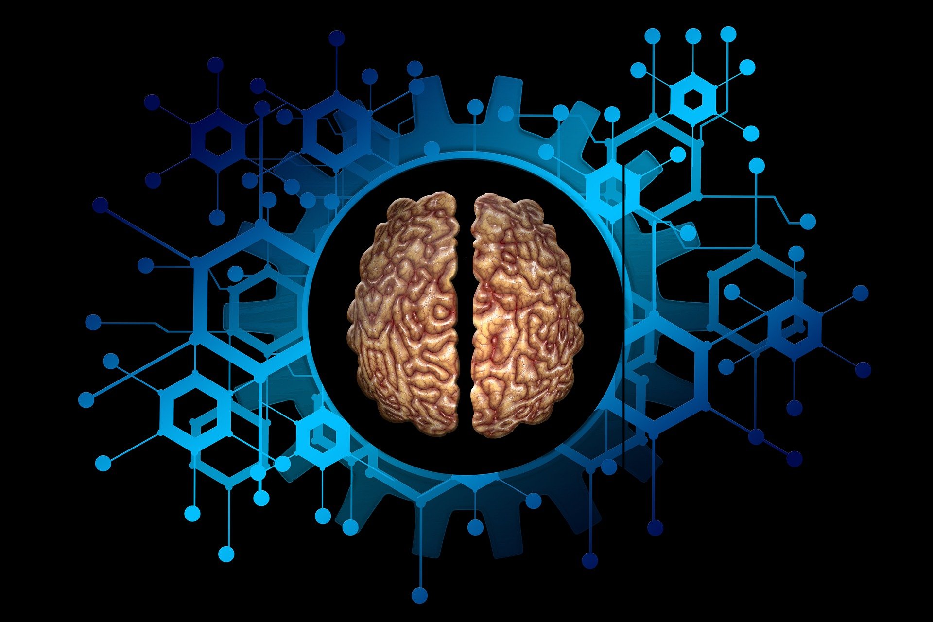 機械の脳 が現実に 現実味を帯びてきた脳の人工再現 東大研究者たちが講演 1 2 ページ Itmedia News