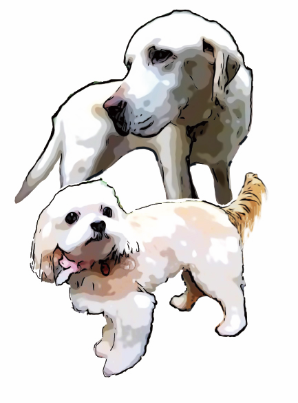 オリジナルデザインのウイスキーを妻に贈る 結婚の歳月を刻むラベル どのフォントで表現するか デジタルネイティブのためのフォントとデザイン 2 5 ページ Itmedia News