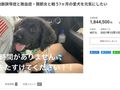 死んだ愛犬「闘病中」と偽りネット資金調達　企画者の女に有罪判決