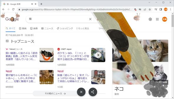 Google検索で 猫 を検索すると 世界ネコの日 限定 Itmedia News