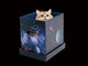 ネットミーム「宇宙猫」を再現できる箱　月刊ムーがペット通販とコラボ