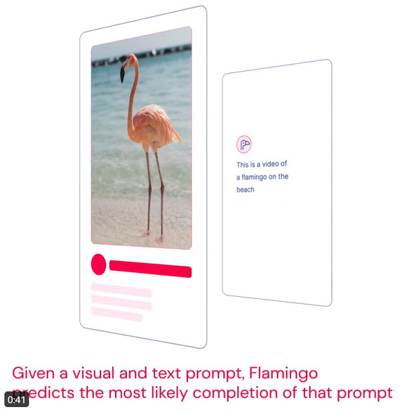  flamingo 2