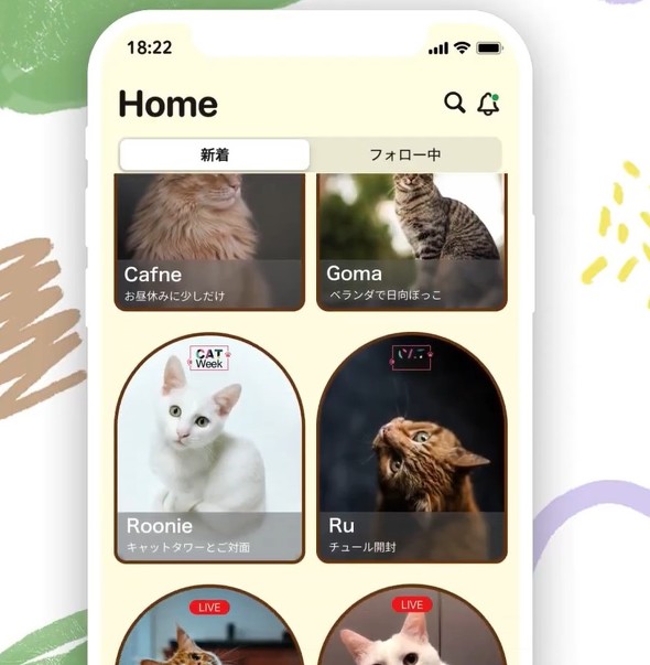 ネコ見放題 WOWOW、ネコ専用配信アプリ「nekochan」リリース - ITmedia