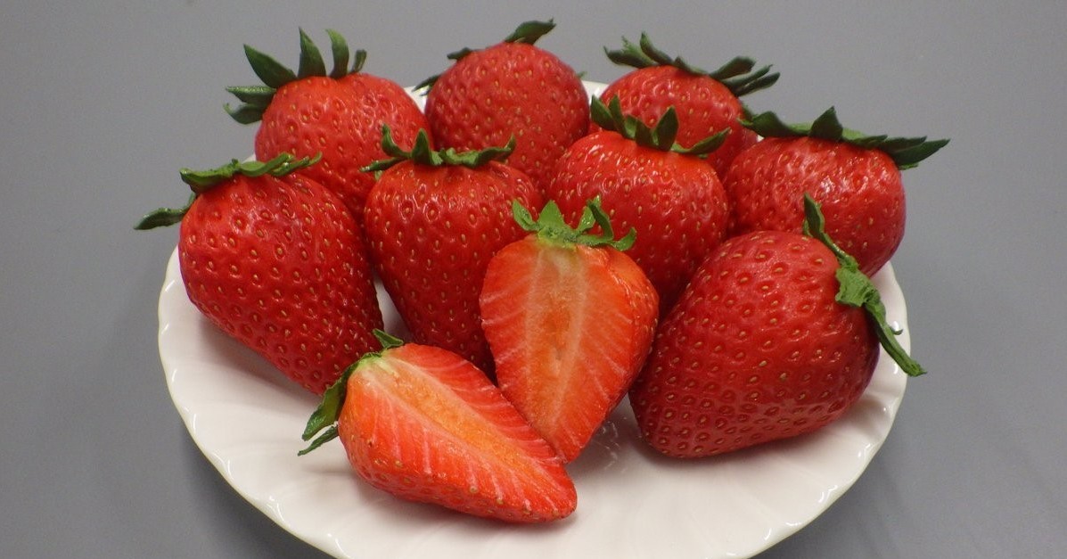 イチゴ苗をフリマサイトで無許可販売 販売者が書類送検 農水省が注意