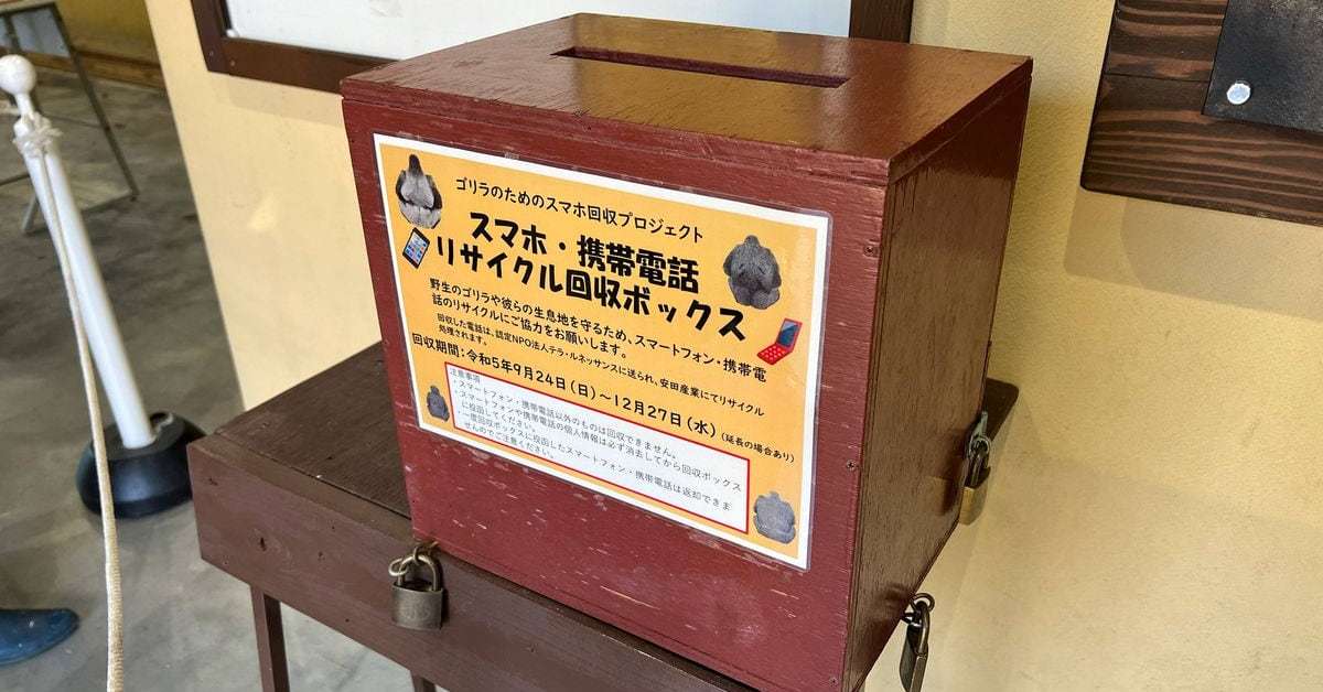 不要スマホがゴリラ救う？ 京都の動物園に回収ボックスが登場