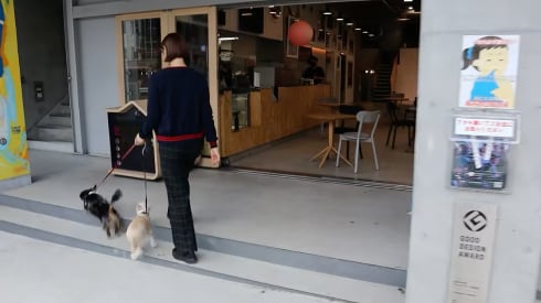 クーラー付き“犬小屋”を店頭でシェア アプリでカギ開閉、見守りも 御殿場のアウトレットモールで実証実験 - ITmedia NEWS