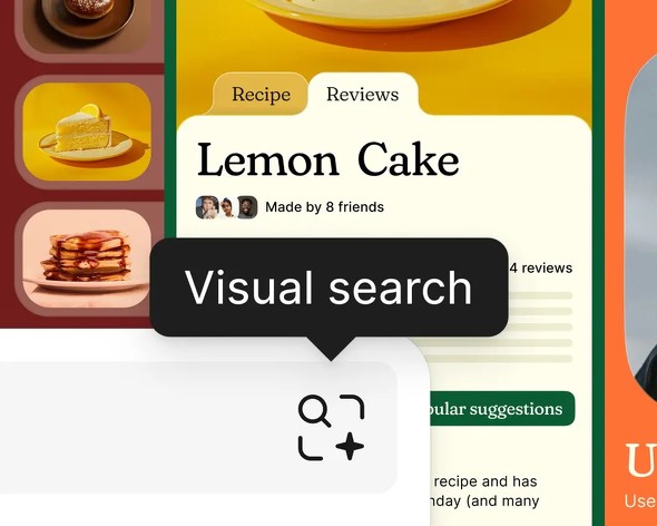  visual search