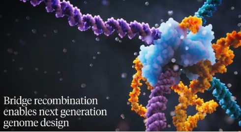 プログラム可能」な新DNA編集技術 東大などが発表 さまざまな2つのDNAを切って組み換え：Innovative Tech - ITmedia NEWS
