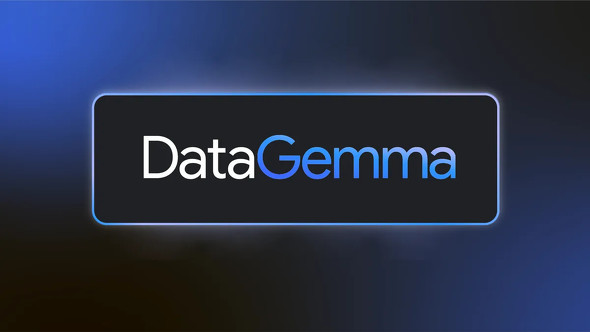  datagemma 1