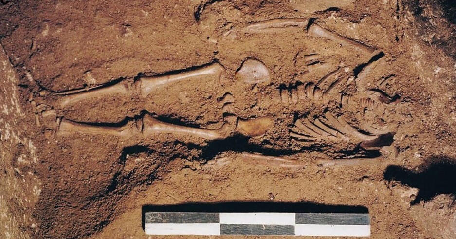 洞窟で見つかった“1万7000年前に生きていた幼児” DNAを解析 「青い目