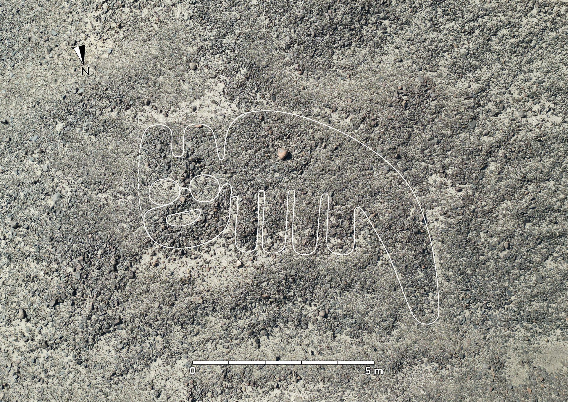 ナスカの地上絵」、新たに248点発見 山形大が発表 「人身供儀」「野生