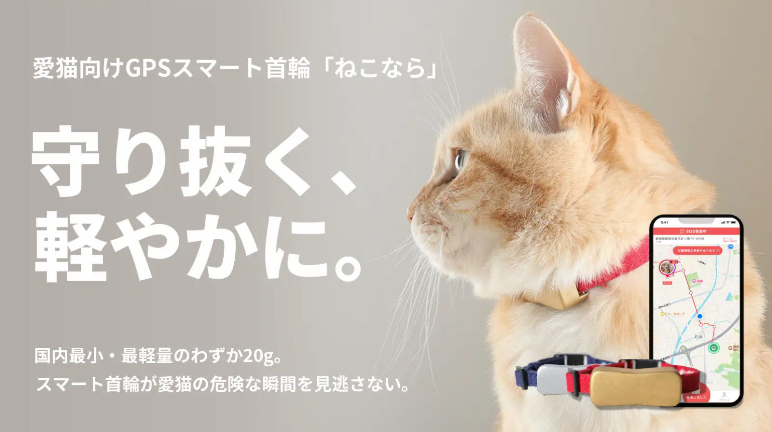 ねこなら GPSスマート首輪 猫用 Lサイズ ねこなら GPSスマート首輪 猫用 Lサイズ 【公式通販】