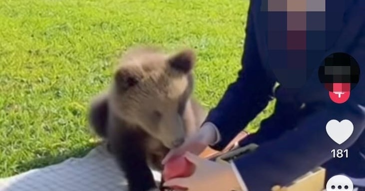 画像が削除されました