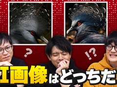 AI�摜�͂ǂ������H�@AI�}�j�Avs.�J�����}�j�A�A�{�C�Ō��j�荇��