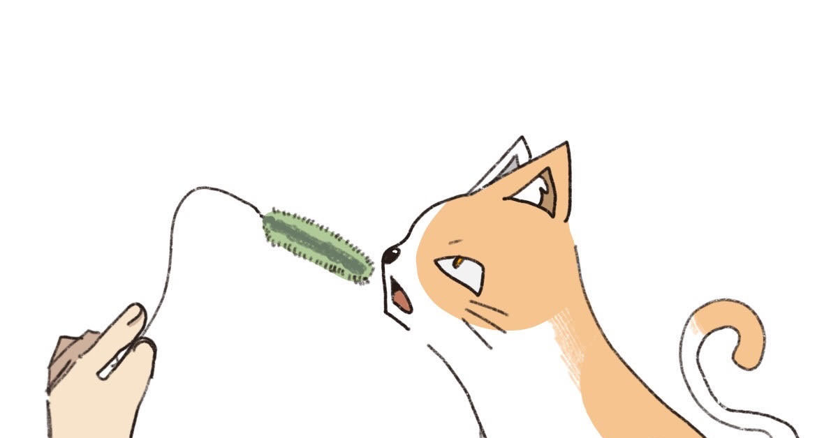 “猫草”は猫にとっておいしいのか？　「旨味がバナナやメロンより強く、苦味が弱い」　日獣大が味覚分析